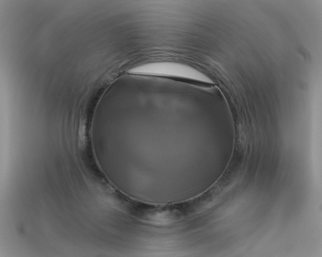 X0000113050267200909101945