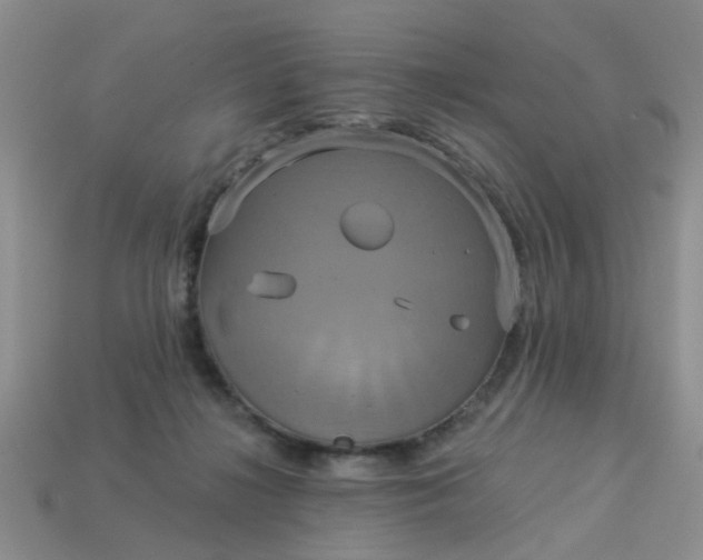 X0000113050268200909101945