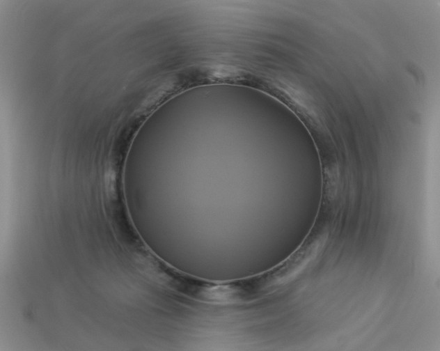 X0000113050269200909101945