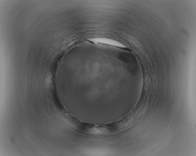 X0000113050270200909101945