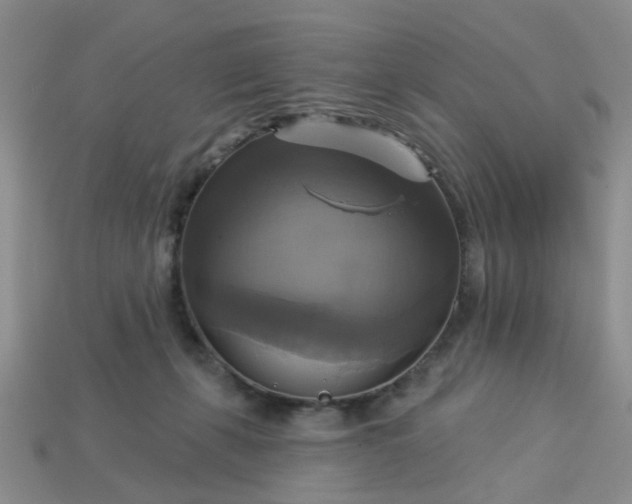 X0000113050271200909101945