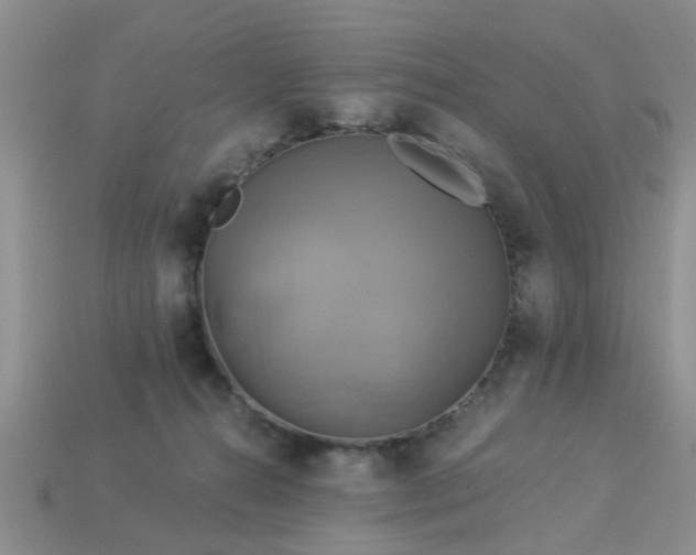 X0000113050272200909101945