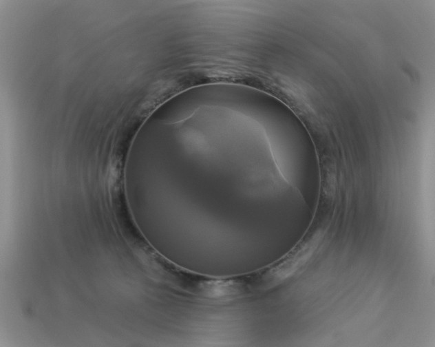 X0000113050273200909101945