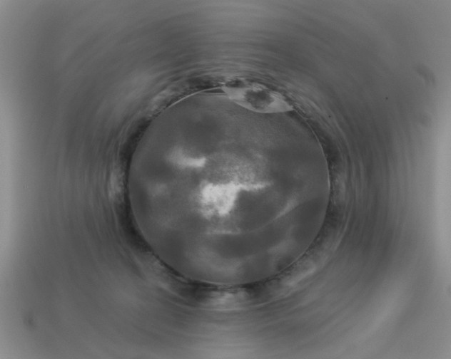 X0000113050274200909101945