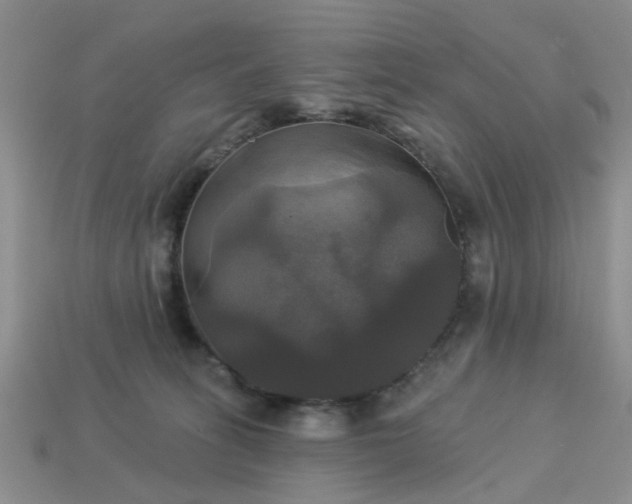 X0000113050275200909101946