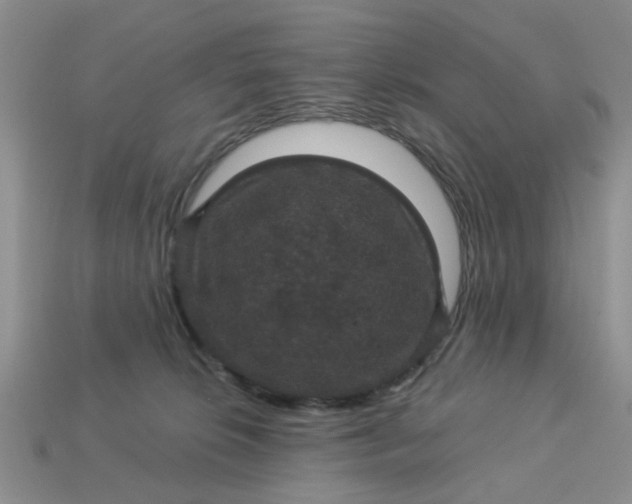 X0000113050276200909101946