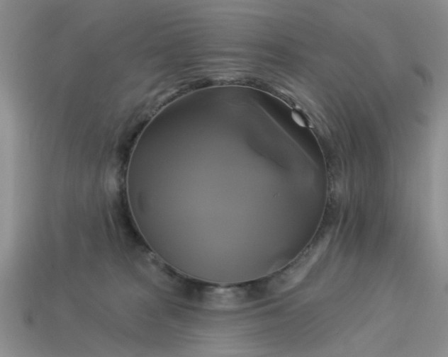 X0000113050277200909101946