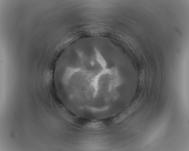 X0000113050278200909101946