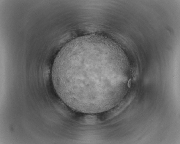 X0000113050279200909101946