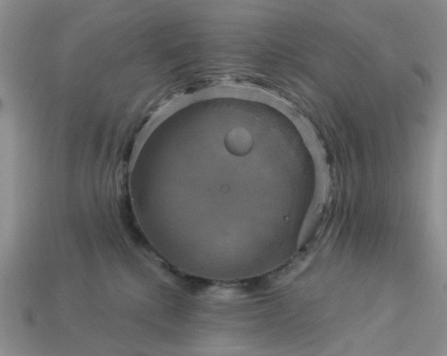 X0000113050280200909101946