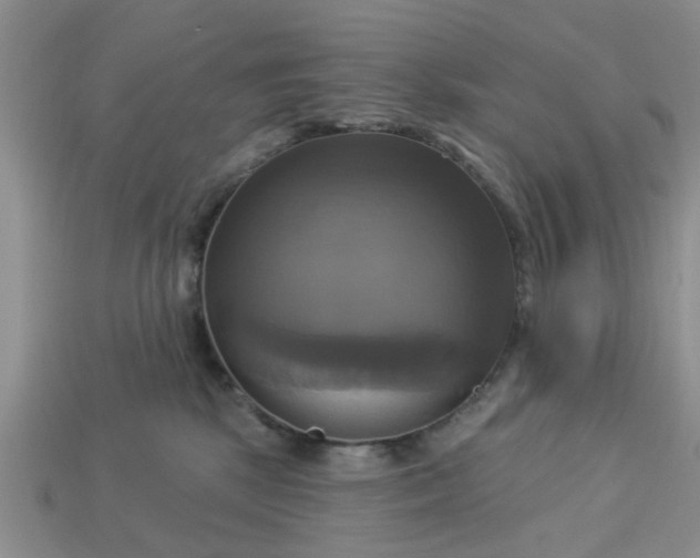 X0000113050281200909101946