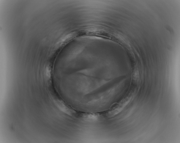 X0000113050282200909101946