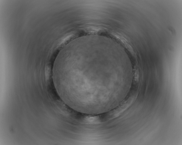 X0000113050283200909101946