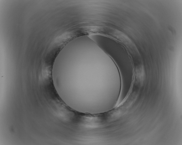 X0000113050284200909101946