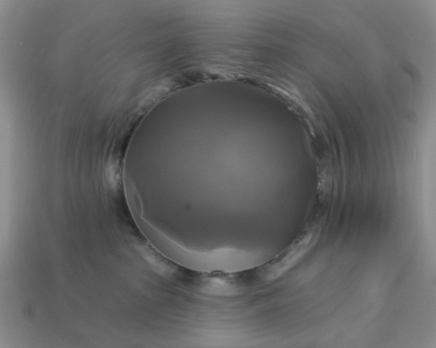 X0000113050285200909101946