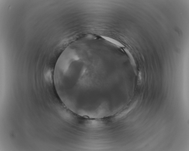 X0000113050286200909101946