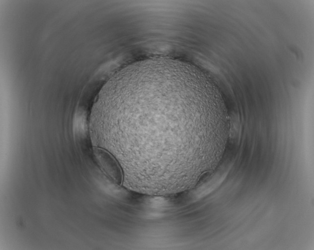 X0000113050287200909101946