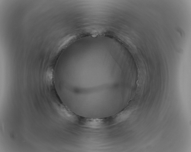 X0000113050288200909101946