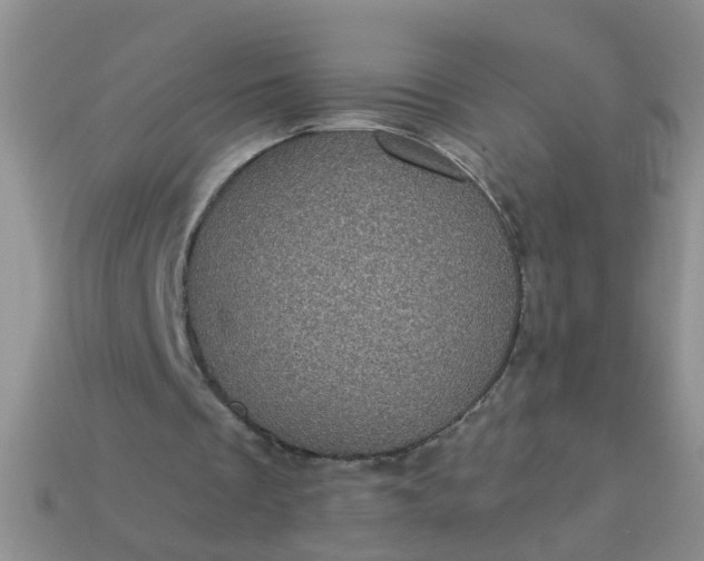 X0000113050289200909101945