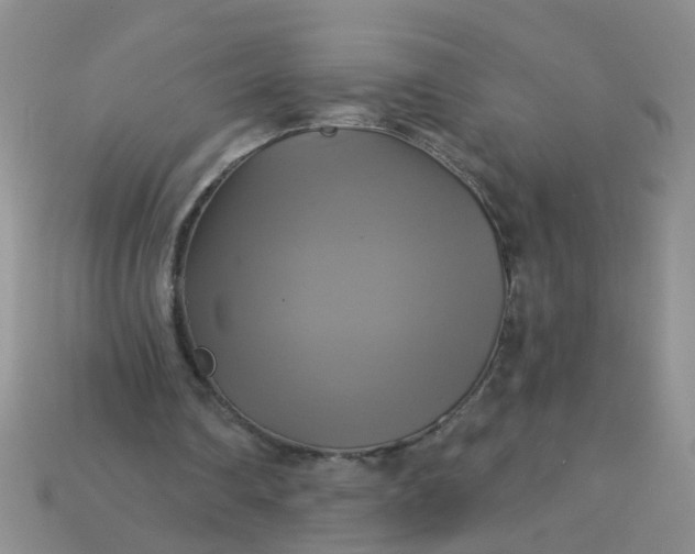 X0000113050290200909101945