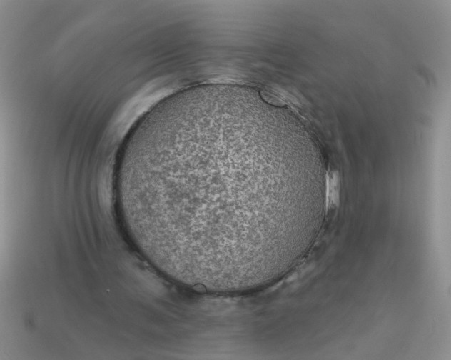 X0000113050291200909101945