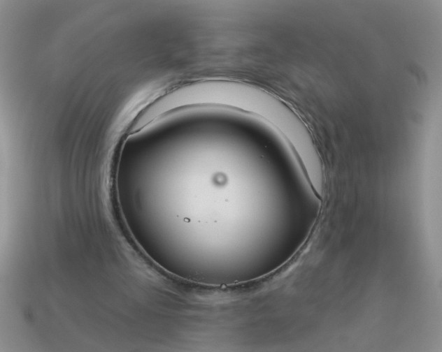 X0000113050293200909101945