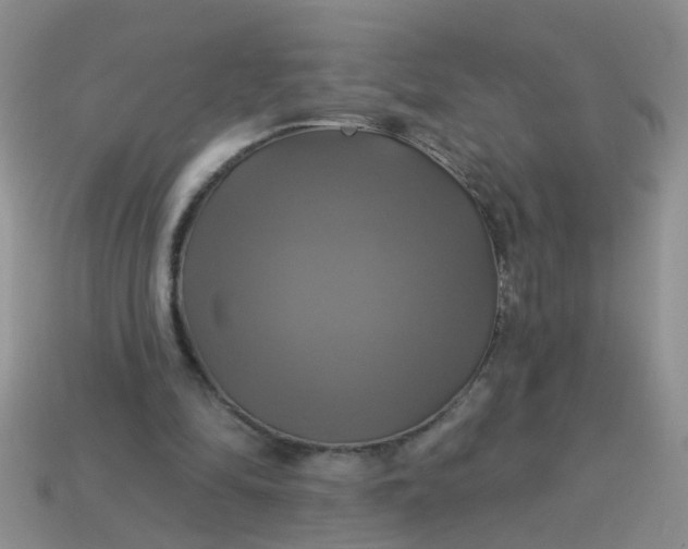 X0000113050294200909101945