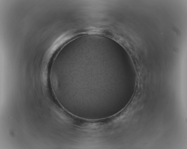 X0000113050295200909101945