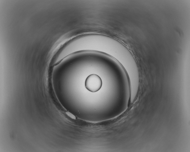 X0000113050296200909101945