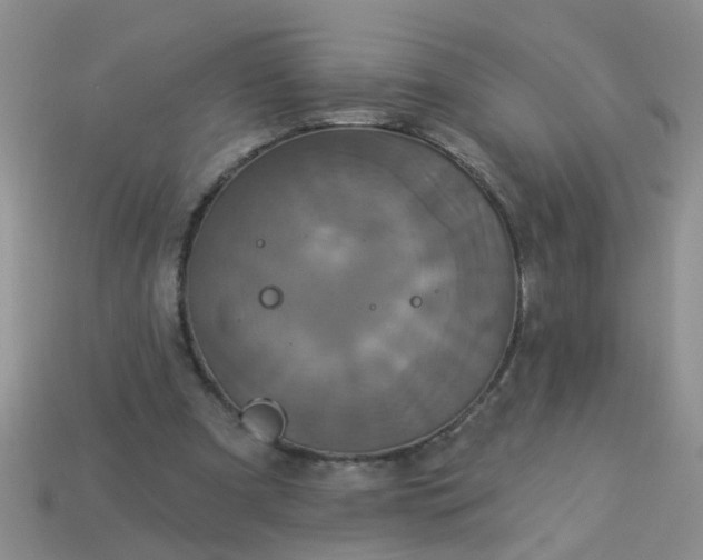 X0000113050297200909101945