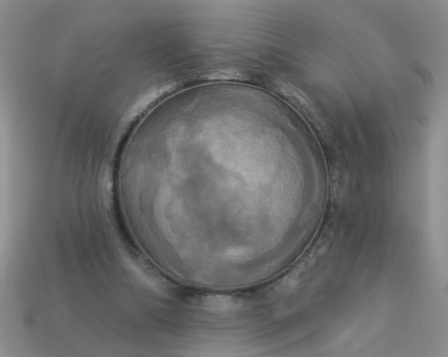 X0000113050298200909101945