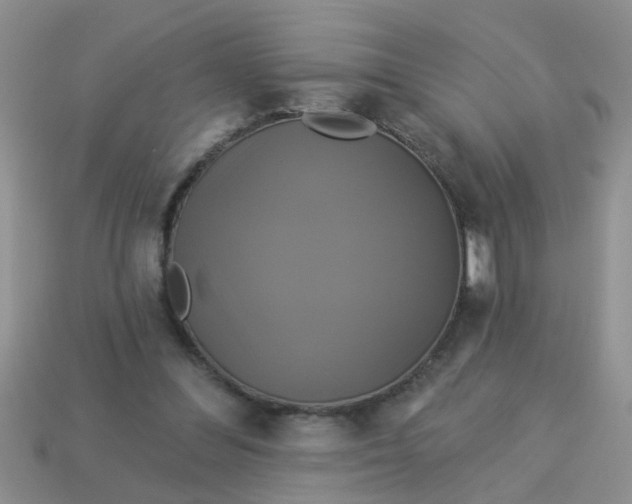 X0000113050300200909101945