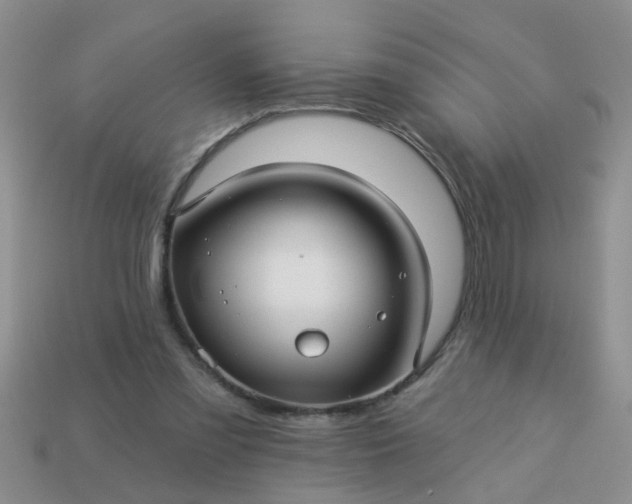 X0000113050301200909101945