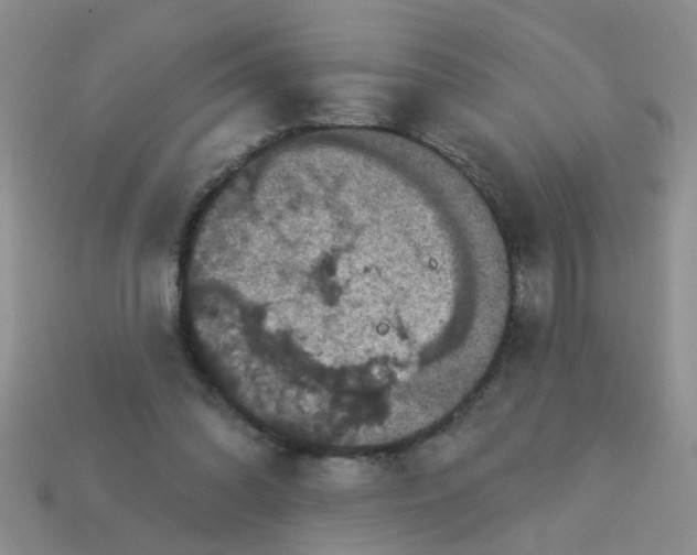 X0000113050302200909101945