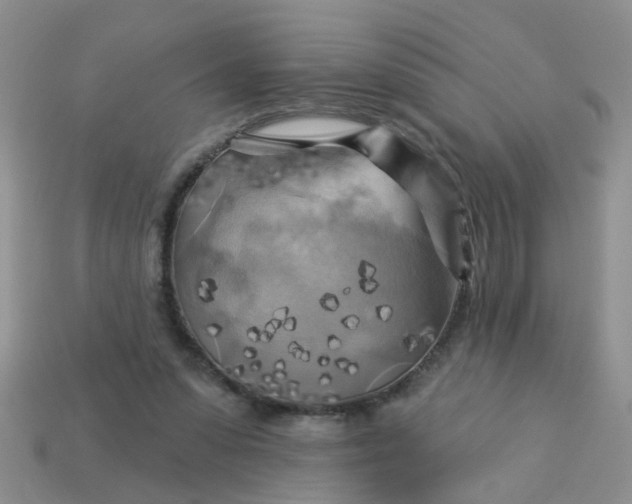 X0000113050303200909101945