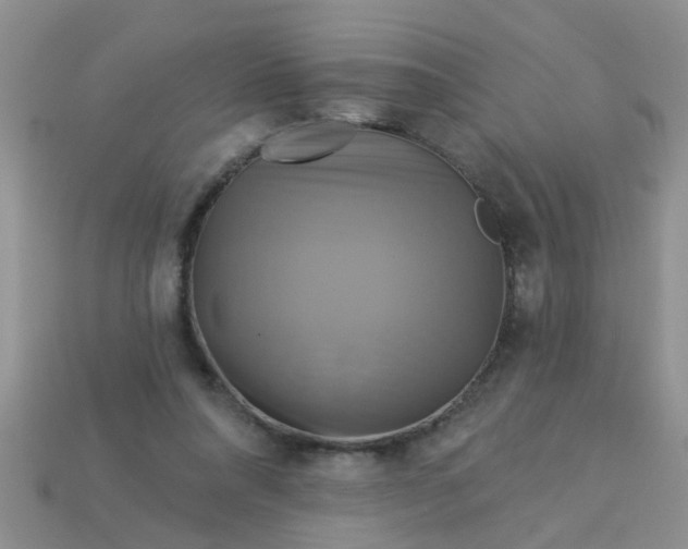 X0000113050304200909101945