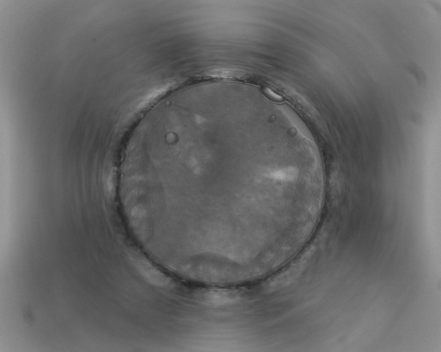 X0000113050305200909101945