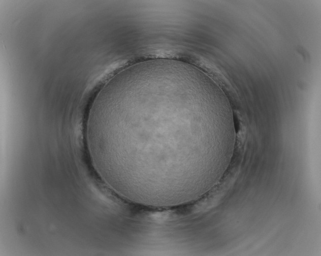 X0000113050306200909101945