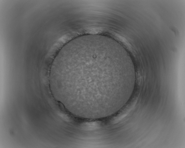 X0000113050307200909101945