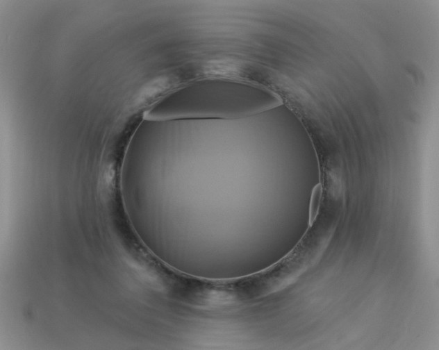 X0000113050308200909101945