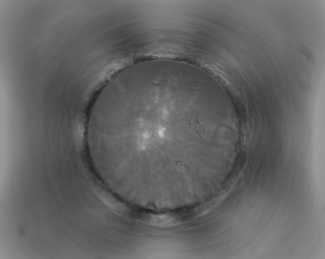 X0000113050309200909101945