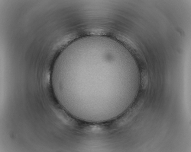 X0000113050310200909101945