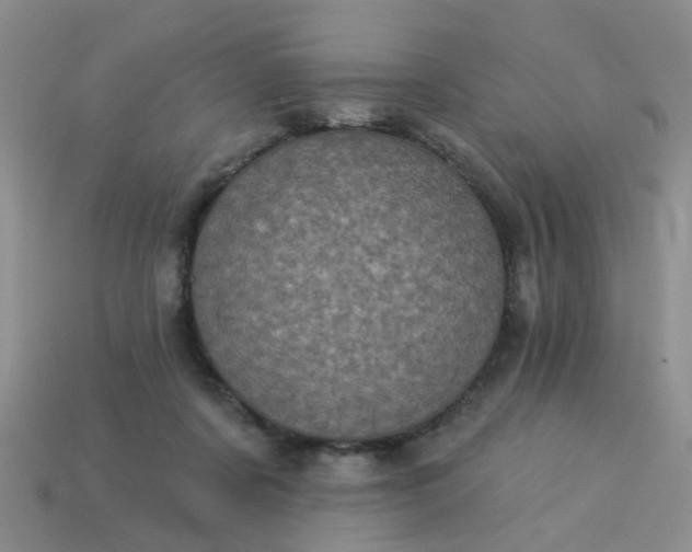 X0000113050311200909101945