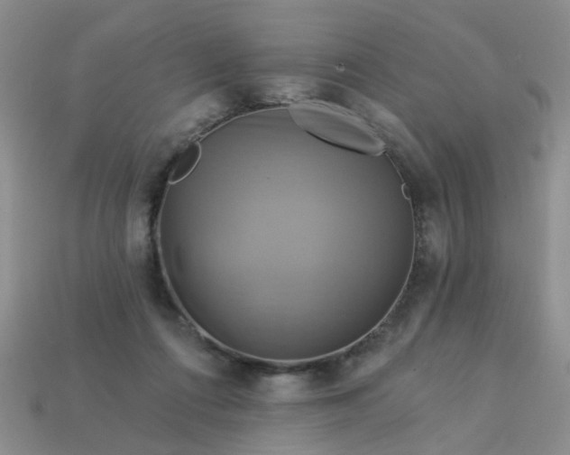 X0000113050312200909101945