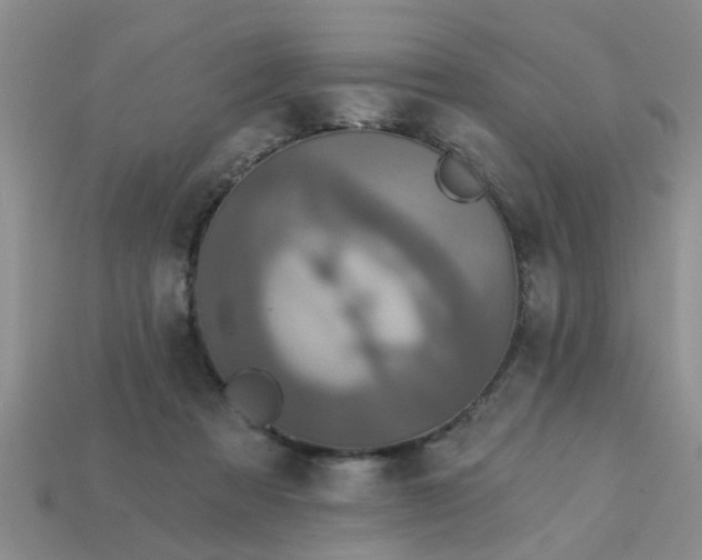 X0000113050313200909101945