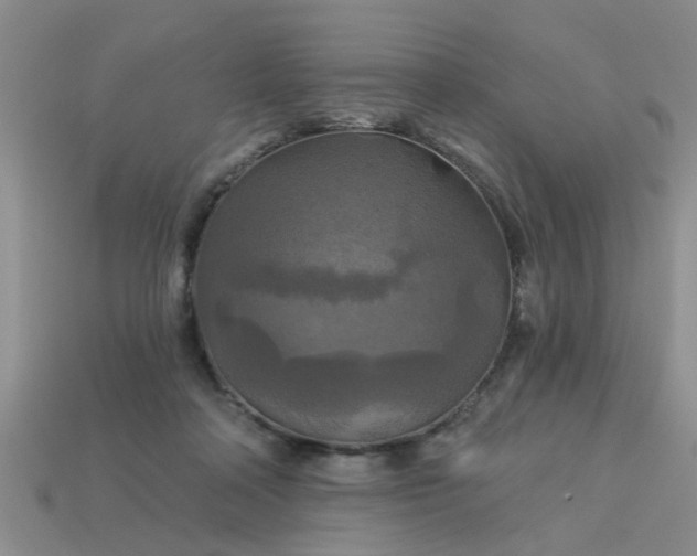 X0000113050314200909101945