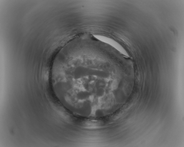 X0000113050315200909101945