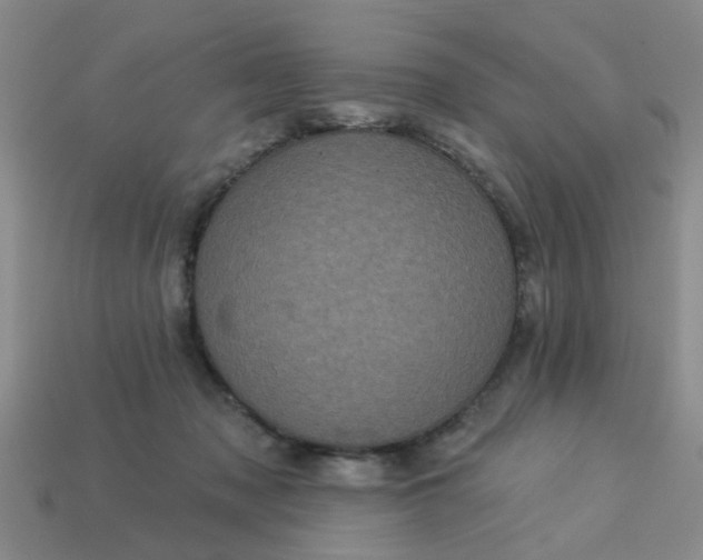 X0000113050317200909101945