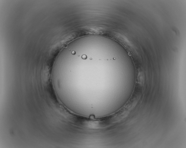 X0000113050318200909101945