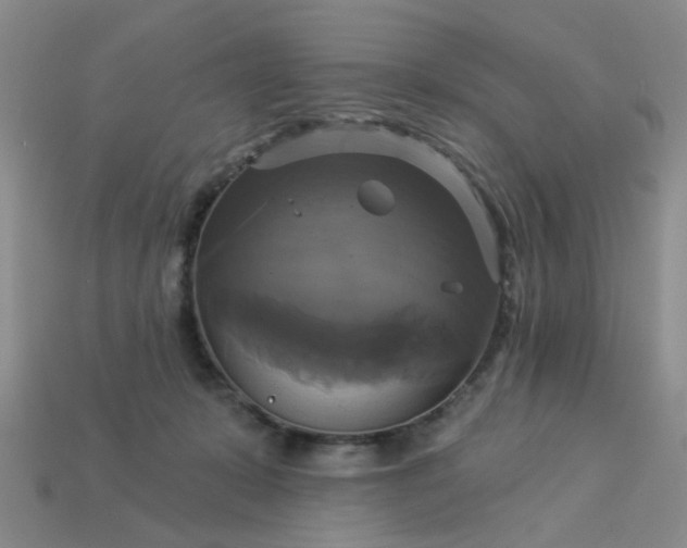 X0000113050319200909101945